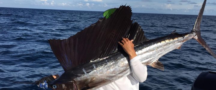 Marco Island Deep Sea Fishing in the Gulf of Mexico