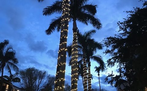 Naples Fifth Avenue South
