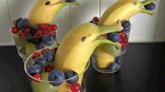 Dolphin Snacks